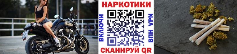 Бошки Шишки Елизово