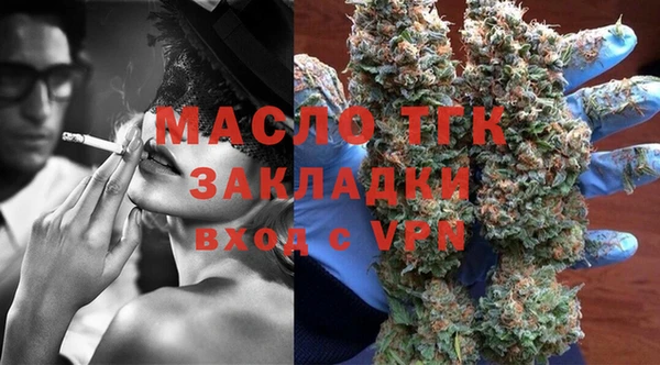 гашик Гусев