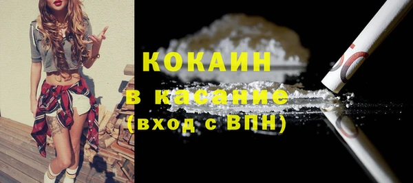 гашик Гусев