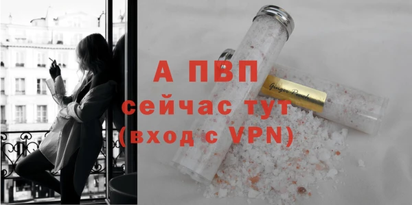 гашик Гусев