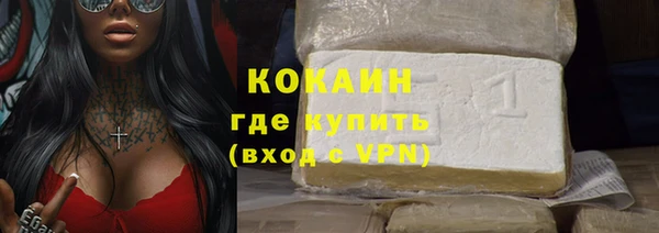 гашик Гусев