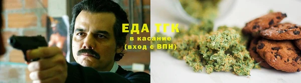 PSILOCYBIN Гусь-Хрустальный