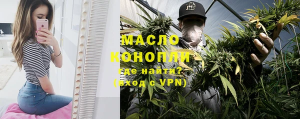 гашик Гусев