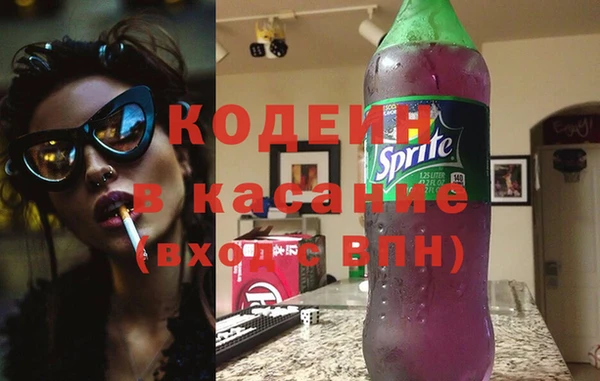 гашик Гусев