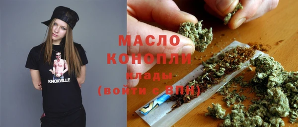 гашик Гусев