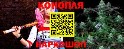 эйфоретик Краснодар