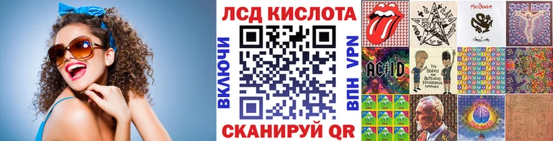 купить наркотики сайты  Елизово  Наркотические марки 1500мкг 