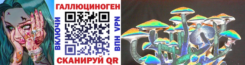 где купить наркоту  Елизово  Псилоцибиновые грибы Psilocybine cubensis 