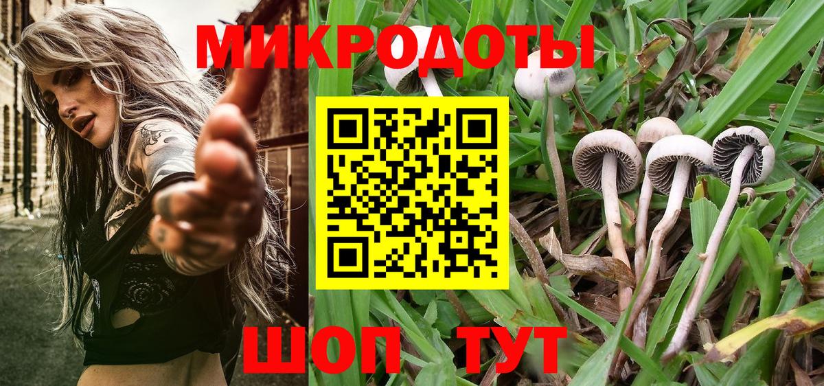 наркота  Псилоцибиновые грибы Psilocybe  Вход с VPN  Елизово 