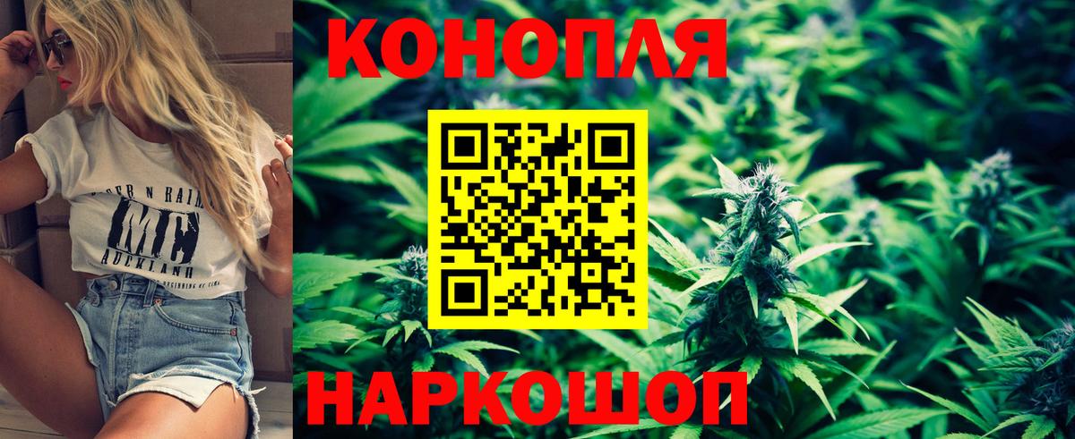 Елизово  Конопля семена  Бошки марихуана семена  Шишки марихуана сатива  Каннабис SATIVA & INDICA  Вход с VPN 